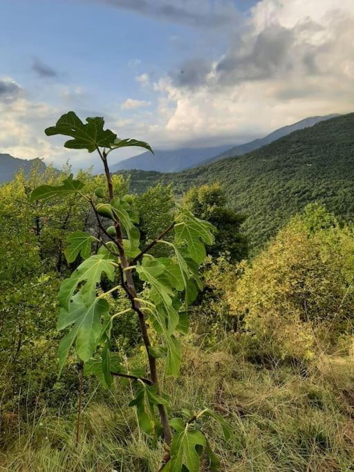 Maison Boheme Vesubie La Bollene-Vesubie Bagian luar foto